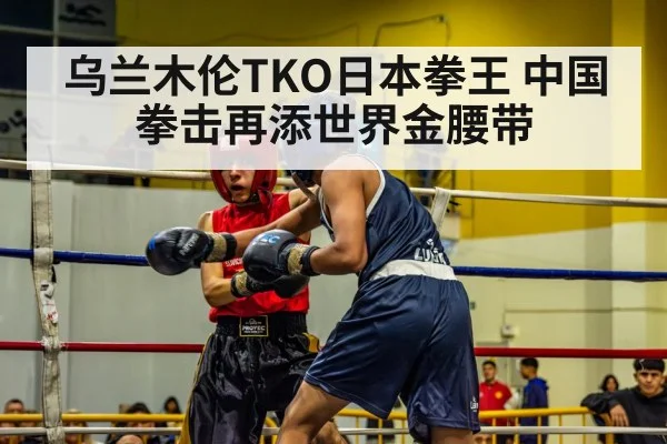 乌兰木伦TKO日本拳王 中国拳击再添世界金腰带（nine game）